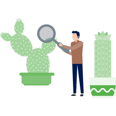 Man searching cactus tree with magnifying glass  Illustration