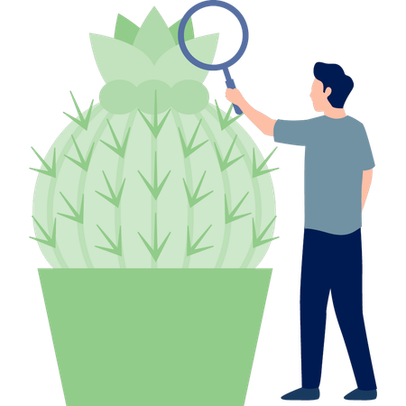 Man searching Grusonii cactus  Illustration