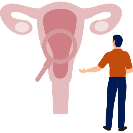 Man  searching human reproductive system  Illustration