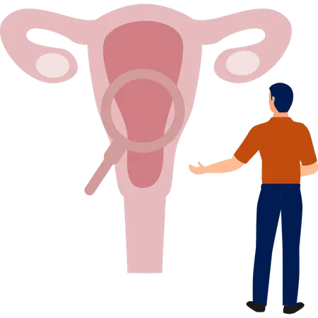 Man  searching human reproductive system  Illustration