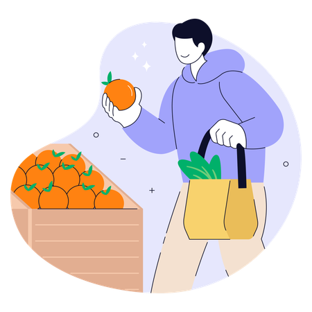 Man Shopping for Fresh Oranges  Illustration
