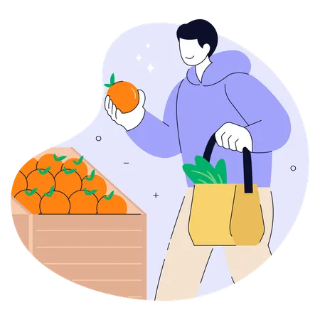 Man Shopping for Fresh Oranges  Illustration