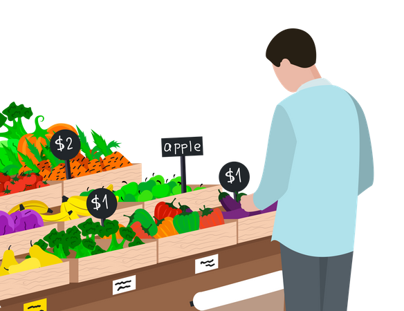 Man shopping vegetable and fruit  Illustration