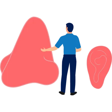 Man showing about nose sense  Illustration