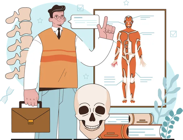 Man showing Anatomy body  Illustration