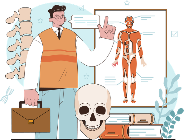 Man showing Anatomy body  Ilustração