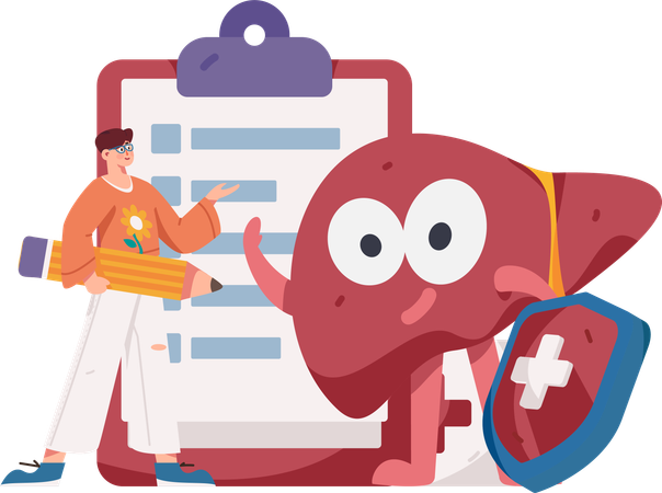 Man showing liver health report  Illustration