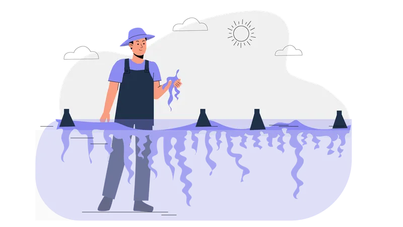 Man showing seaweed  Illustration