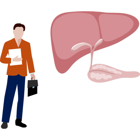 Man  standing next to human liver  Illustration