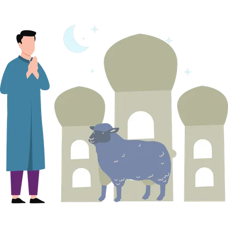 Man stands by sheep  Illustration