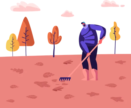 Man sweeping lawn and cleaning fallen leaves Illustration