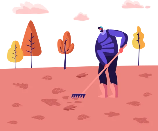 Man sweeping lawn and cleaning fallen leaves  Illustration