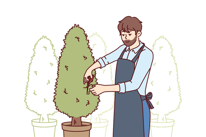 Man takes care of outdoor plants  イラスト