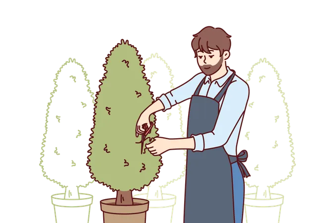 Man Gardener Cuts Excess Branches From Trees Growing In Pots And Taking Care Of Plants To Decorate Landscape Bearded Guy Gardener In Work Coat Makes Career As Employee Of Greenhouse Or Conservatory Illustration