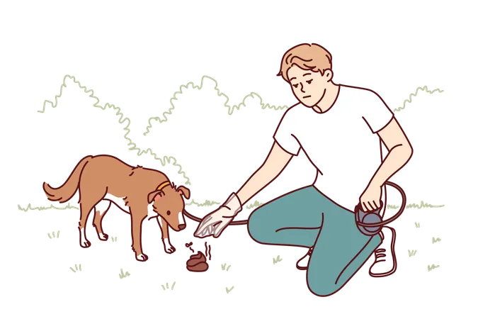 Man Walking Dog Puts Excrement In Plastic Bag So As Not To Pollute Park Young Guy Dog Owner Shows Conscientiousness Cleaning Up After Puppy And Taking Care Of Cleanliness Of Surrounding Area Illustration