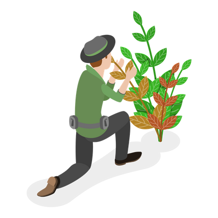 Man taking care of plants and trying to save them  Illustration