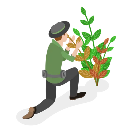 Man taking care of plants and trying to save them  Illustration