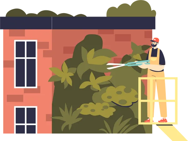 Man taking care of plants on green house  Illustration