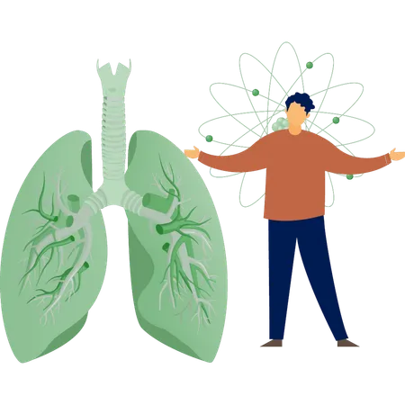 A Boy Is Talking About Lungs Structure Illustration