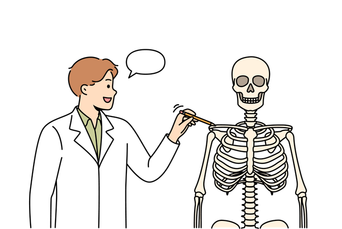Man teacher at medical college and talks about structure of human skeleton and teaches future doctors  イラスト