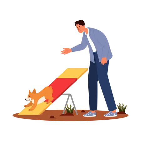 Dog Agility Seesaw Training Exercise For Pet Man Training His Pet Dog Happy Puppy Having Agility Lesson Good Trainer Outdoor Isolated Vector Illustration In Cartoon Style Illustration