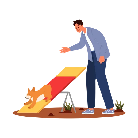 Man training his pet dog on seesaw  Illustration