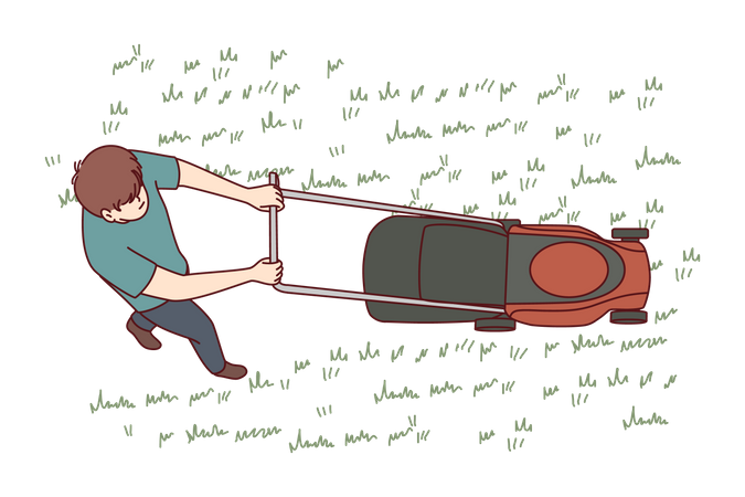 Man uses lawn mower to cut grass in his backyard  Illustration