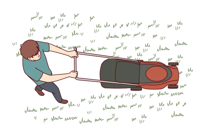 Man uses lawn mower to cut grass in his backyard  Illustration