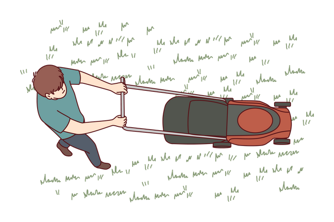 Man uses lawn mower to cut grass in his backyard  Illustration