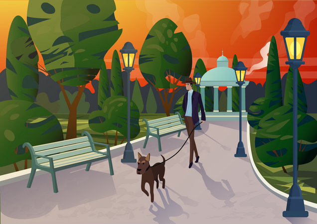 Man walking dog in park  Illustration