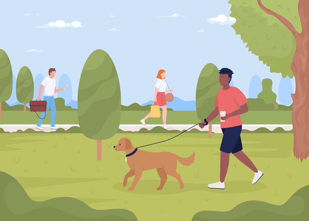 Man walking dog in summer park  Illustration