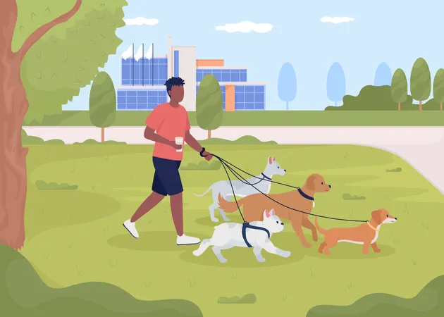 Man walking dogs in park  Illustration