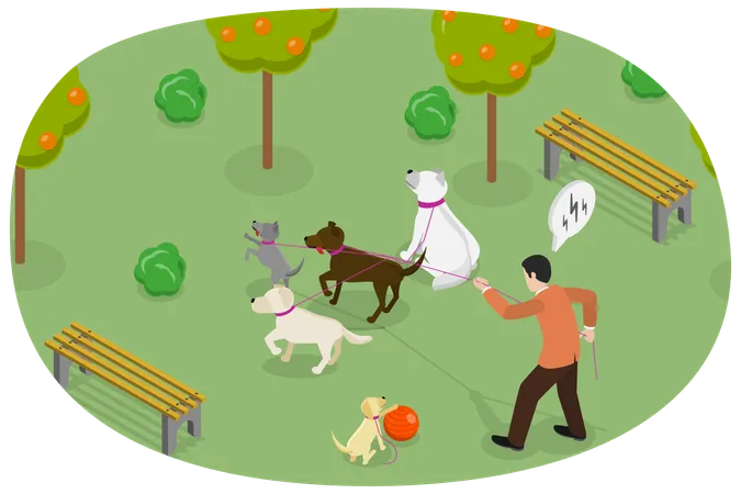 Man Walking with Dogs  Illustration