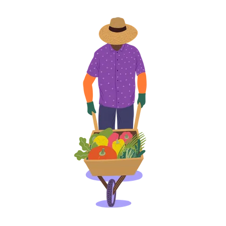 Man walking with trolley of vegetables Illustration