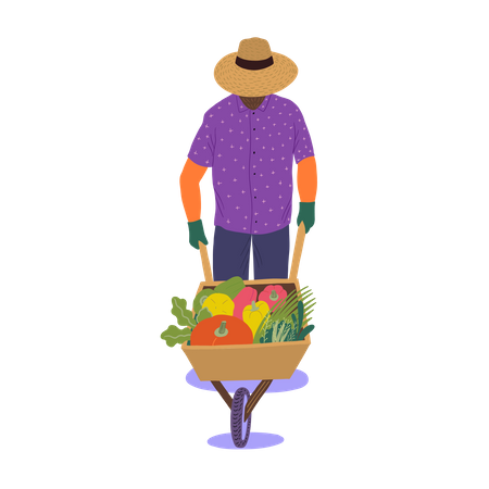 Man walking with trolley of vegetables  Illustration