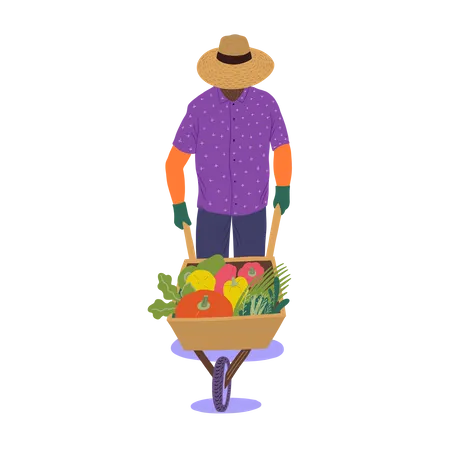 Man walking with trolley of vegetables  Illustration