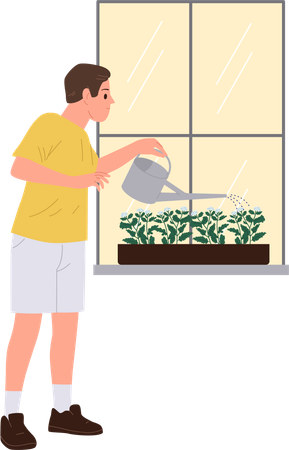 Man  watering flower in pot on windowsill using steel can enjoying home gardening  Illustration