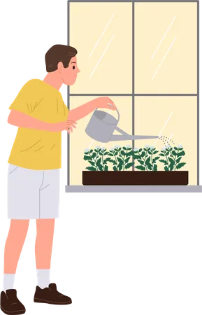 Man  watering flower in pot on windowsill using steel can enjoying home gardening  Illustration