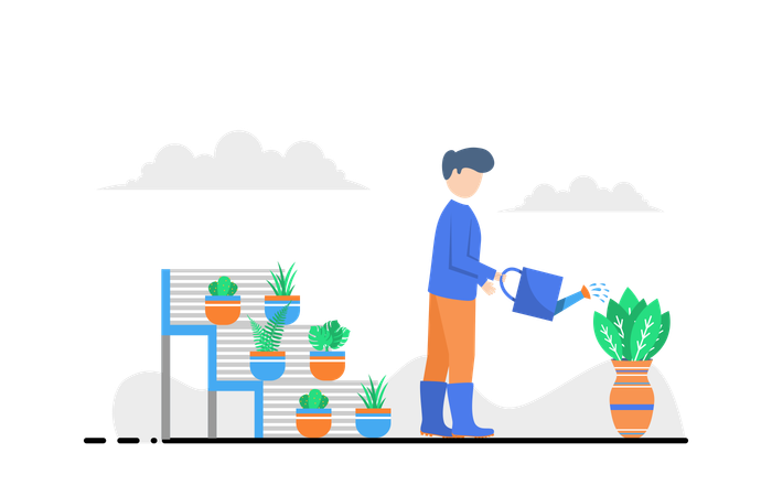 Man Watering Plant  Illustration