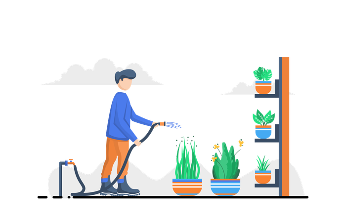 Man Watering Plant  Illustration