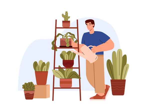 Man waters and washes away dust from house plants  Illustration