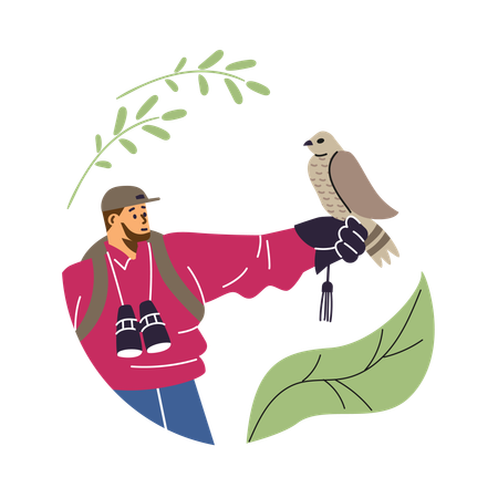 Man with binoculars and hawking glove holding falcon bird  Illustration