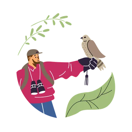 Man with binoculars and hawking glove holding falcon bird  Illustration