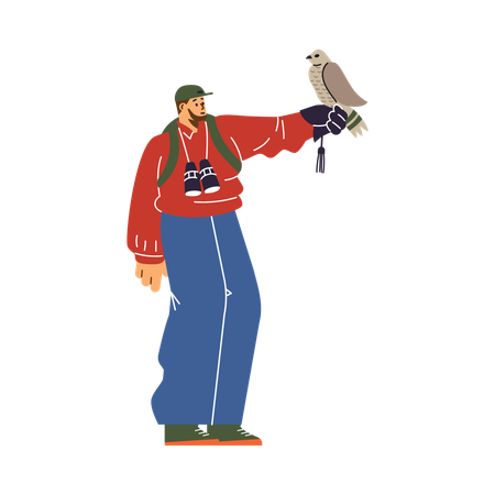 Man with cap and binoculars with sitting falcon at arm length  Illustration