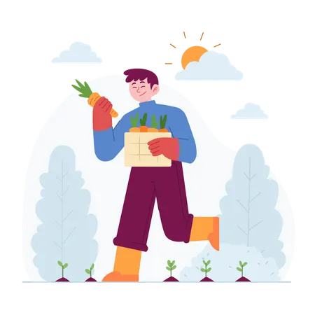 Man with carrot box  Illustration