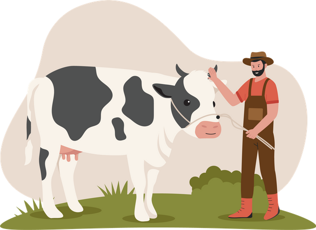 Man with cow in farm  Illustration