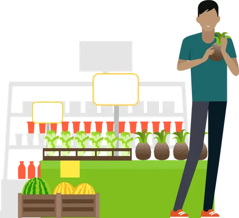 Customer In Grocery Store Vector Flat Design Man In Casual Clothes With Pineapple In Hands Standing Near Fruits And Vegetables Showcase In Supermarket Buying Healthy Fresh Greens On Market Illustration