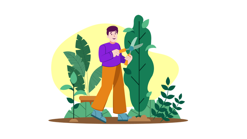 Man with pruner scissors cutting branches on trees  Illustration