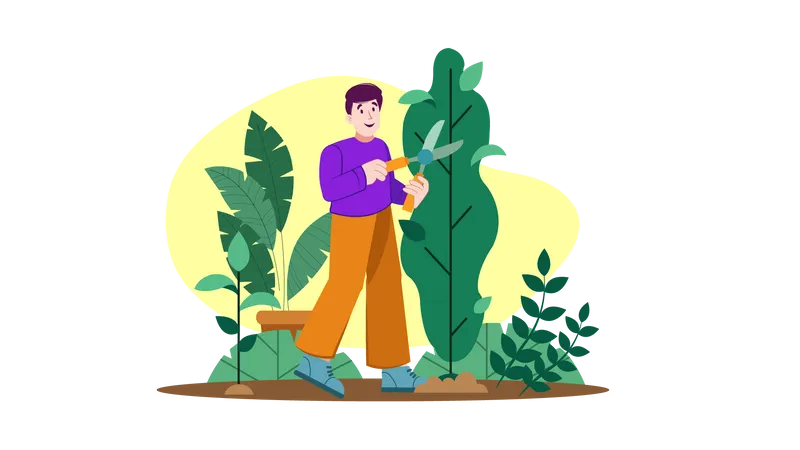 Man with pruner scissors cutting branches on trees  Illustration