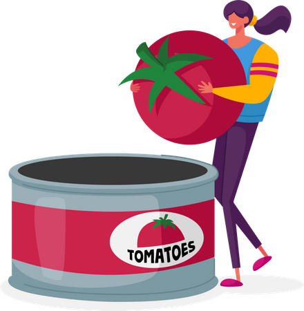 Man working at canned tomato manufacturing  Illustration